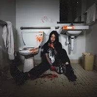 Ally Nicholas — Warning Signs — обложка